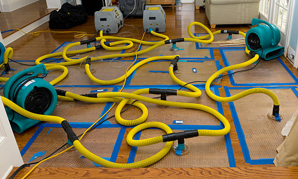 Professional Crawl Space Water Removal technician working in Jonesville, NC